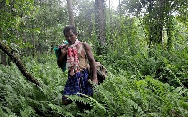 Jadav Molai Payeng, The Forest Man Image Source: The Alternative