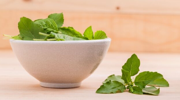 Researchers Recommend Tulsi to Combat Lifestyle Related Chronic Diseases