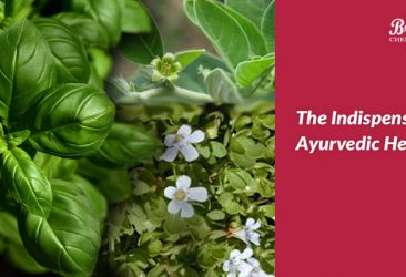 Essential Ayurvedic Herbs - Branolia Chemicals