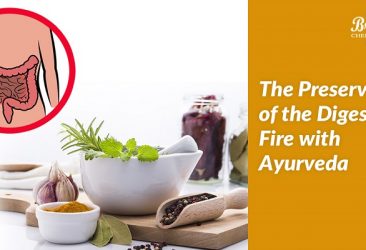 ayurvedic medicine for digestion problem