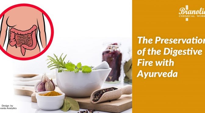 The Ayurvedic Medicine for Digestion Problem