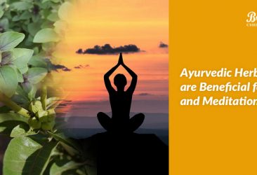 ayurvedic herbs for yoga