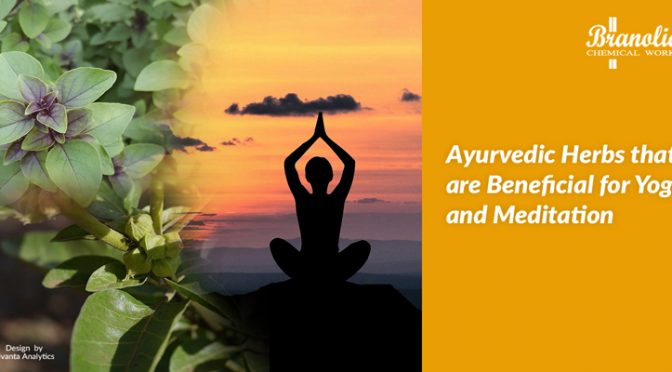 Ayurvedic Herbs that are Beneficial for Yoga and Meditation